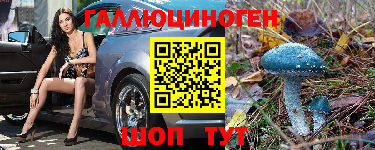 Псилоцибиновые грибы Psilocybe  Псилоцибиновые грибы мицелий  Вход с VPN  Серов 